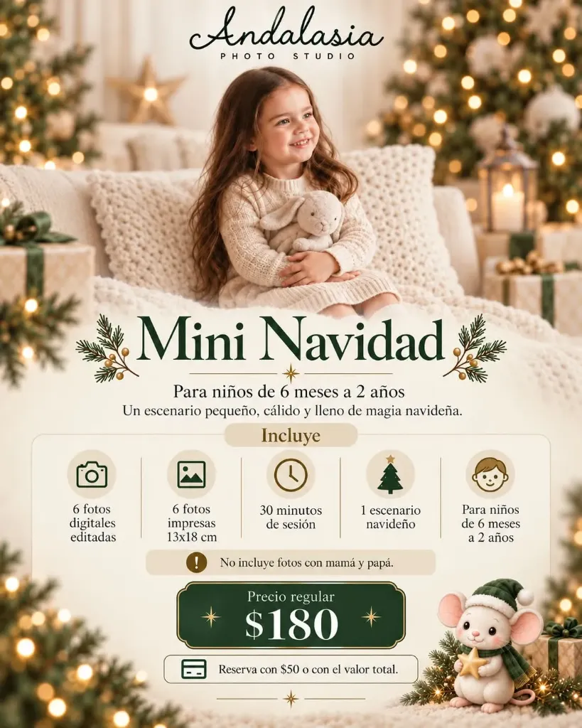 Mini Navidad